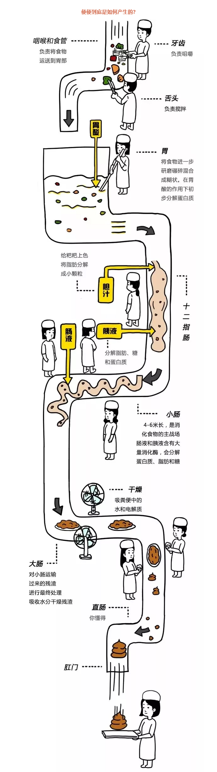 火狐截图_2024-06-17T08-50-48_03.jpg